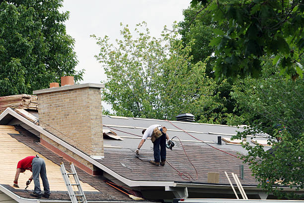 Best Roof Restoration Services  in Wrangell, AK