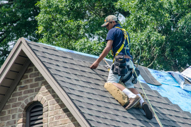 Best Residential Roof Replacement  in Wrangell, AK